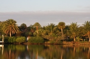 ICW in Florida